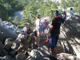 Лисенок Алупка